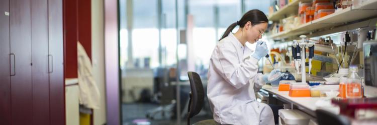 A researcher pipetting into a dish, they are sitting at a laboratory bench in a white lab coat and gloves in the lab