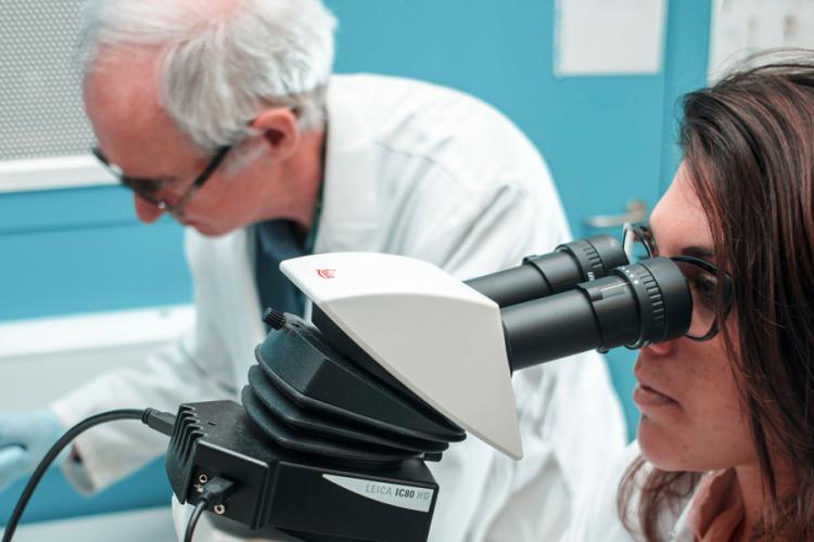 A researcher is looking through a microscope, with another research in the background looking at images on a screen