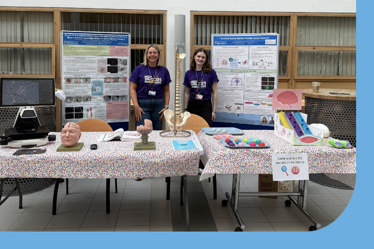 Hazel Allardyce and Ashley Donald at their research stand with microscope showing a healthy human spinal cord and a MND spinal cord where the motor neurons are lost. Models of the brain and spinal to show what is affected in MND. Playdoh brains with beads so children could interact, a model showing how the message from the brain/spinal cord and muscles is disturbed in MND made of 3 tubes, 1 hollow, 1 partly filled, 1 fully filled , using marbles to travel down the tubes or not in the 3rd MND model