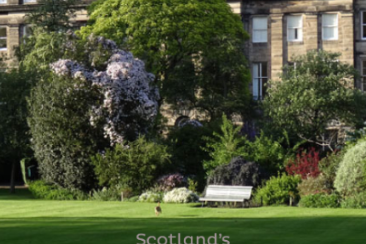 A picture of a beautiful green garden in the summer time