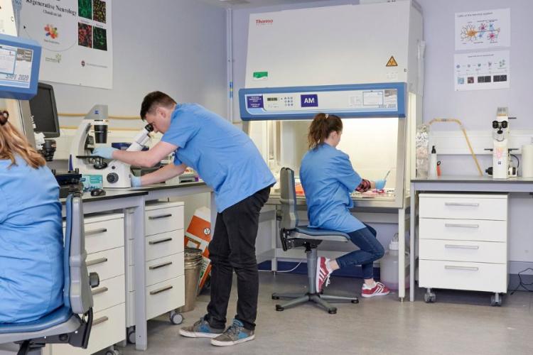 Inside of a busy laboratory, four researchers in blue lab coats are working at lab benches