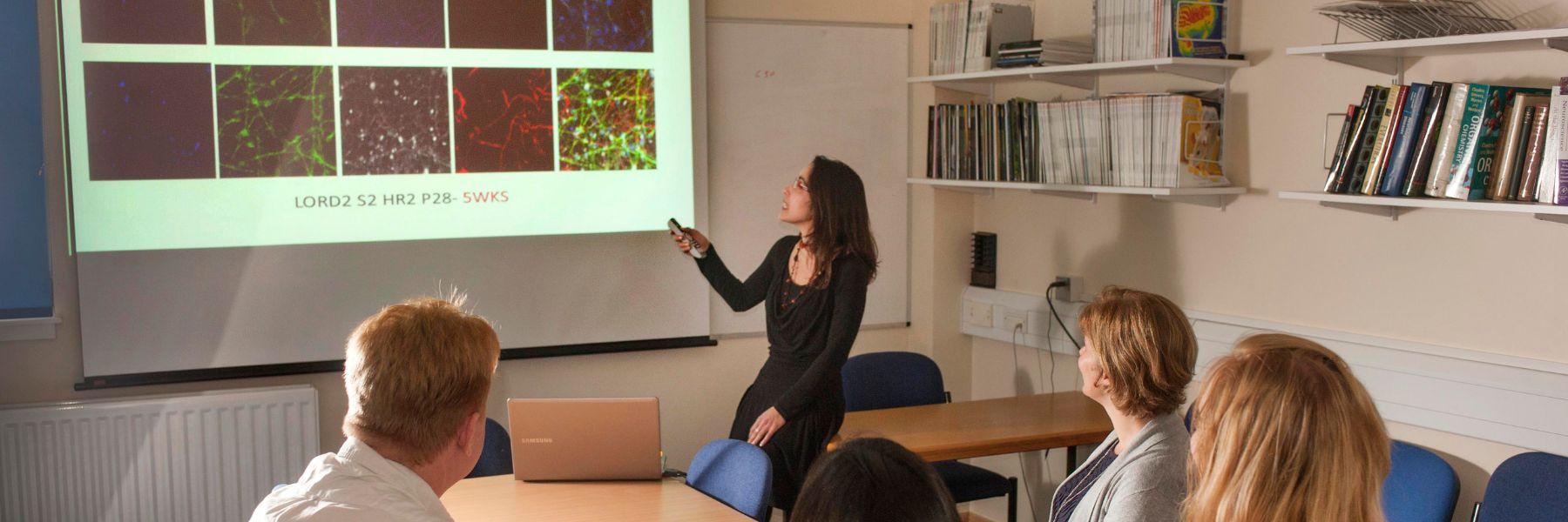 Students at a scientific presentation