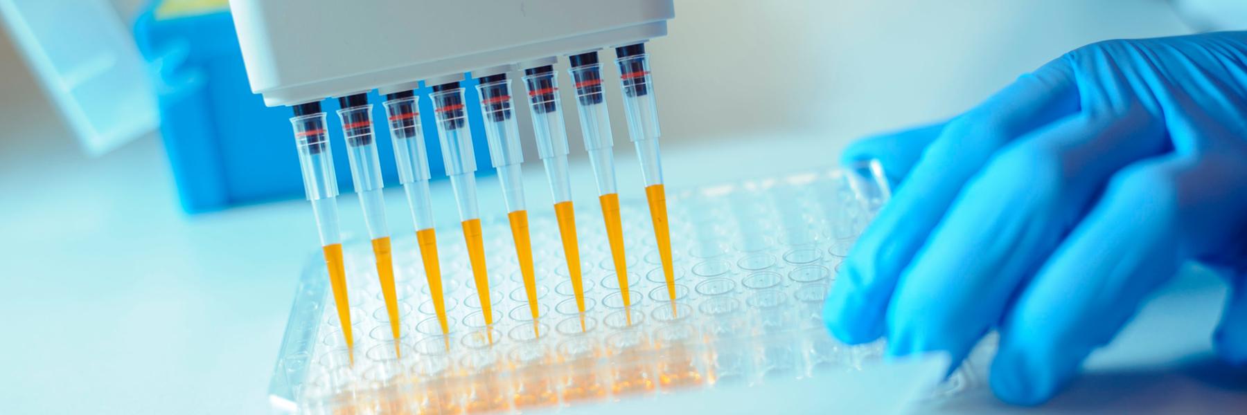 Close up of eight holder pipette, ejecting orange liquid into multi-well plate