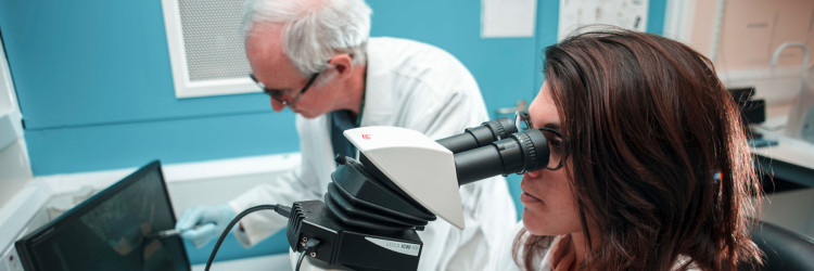 A researcher is looking through a microscope, with another research in the background looking at images on a screen