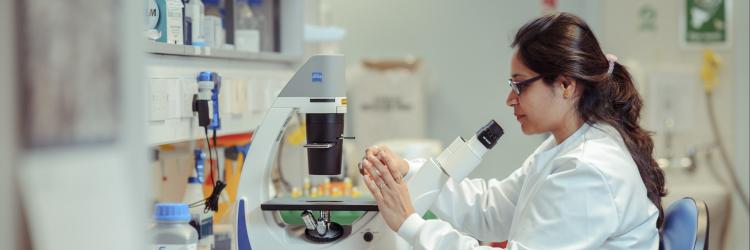 A laboratory researcher is working at a microscope in a lab, holding a glass slide