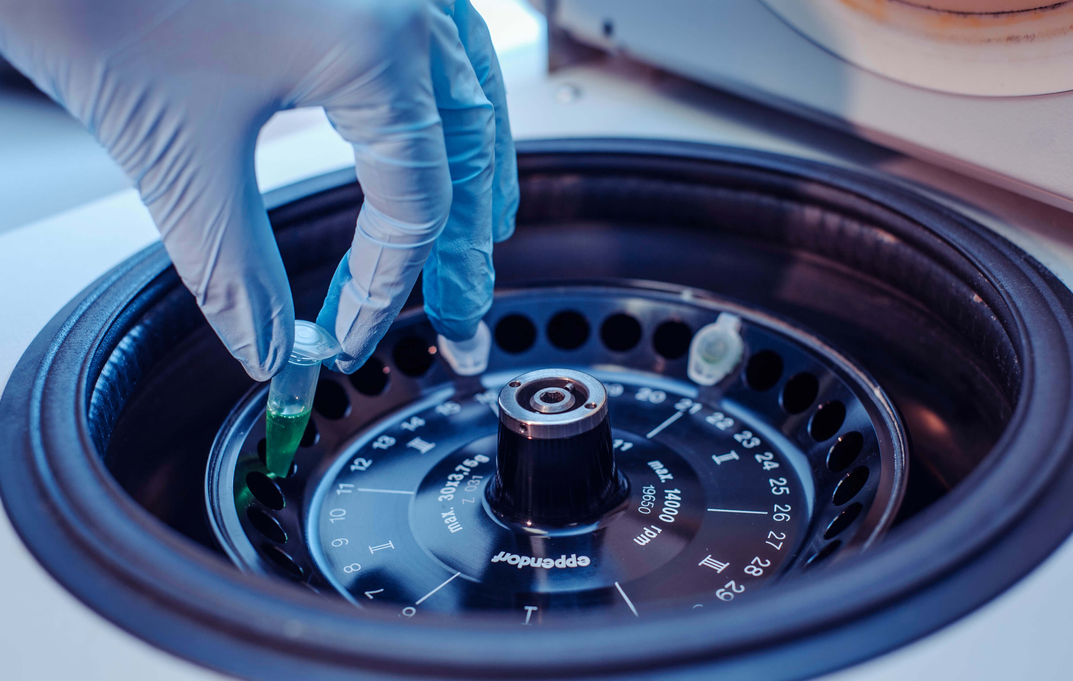 An inside view of a laboratory centrifuge machine
